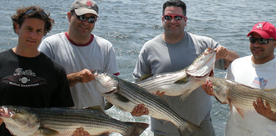 A Good Catch in RI Bay aboard Barebones Charters